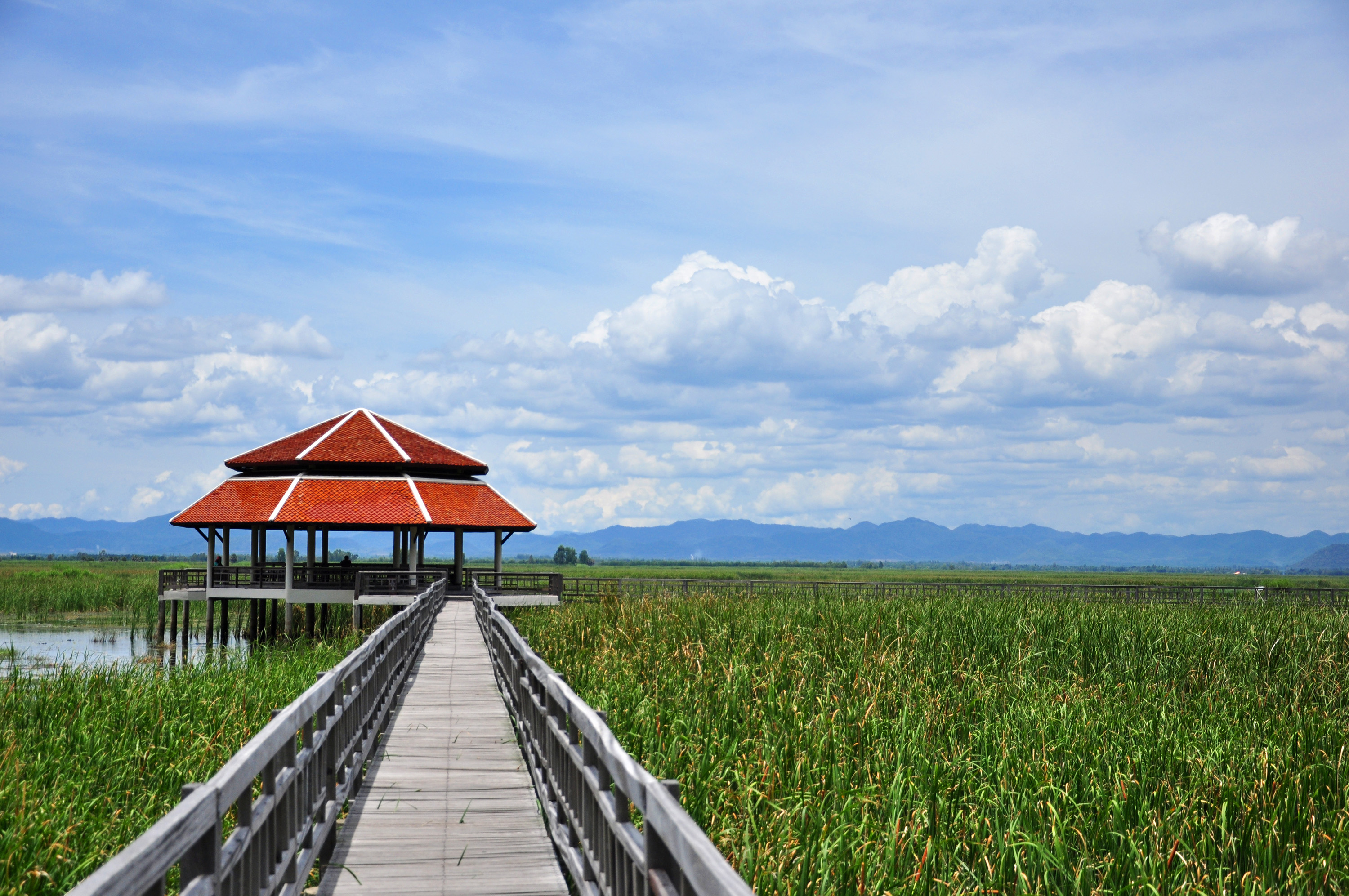 Khao Samroiyod National Park, Prachuap Khiri Khan province, Thailand