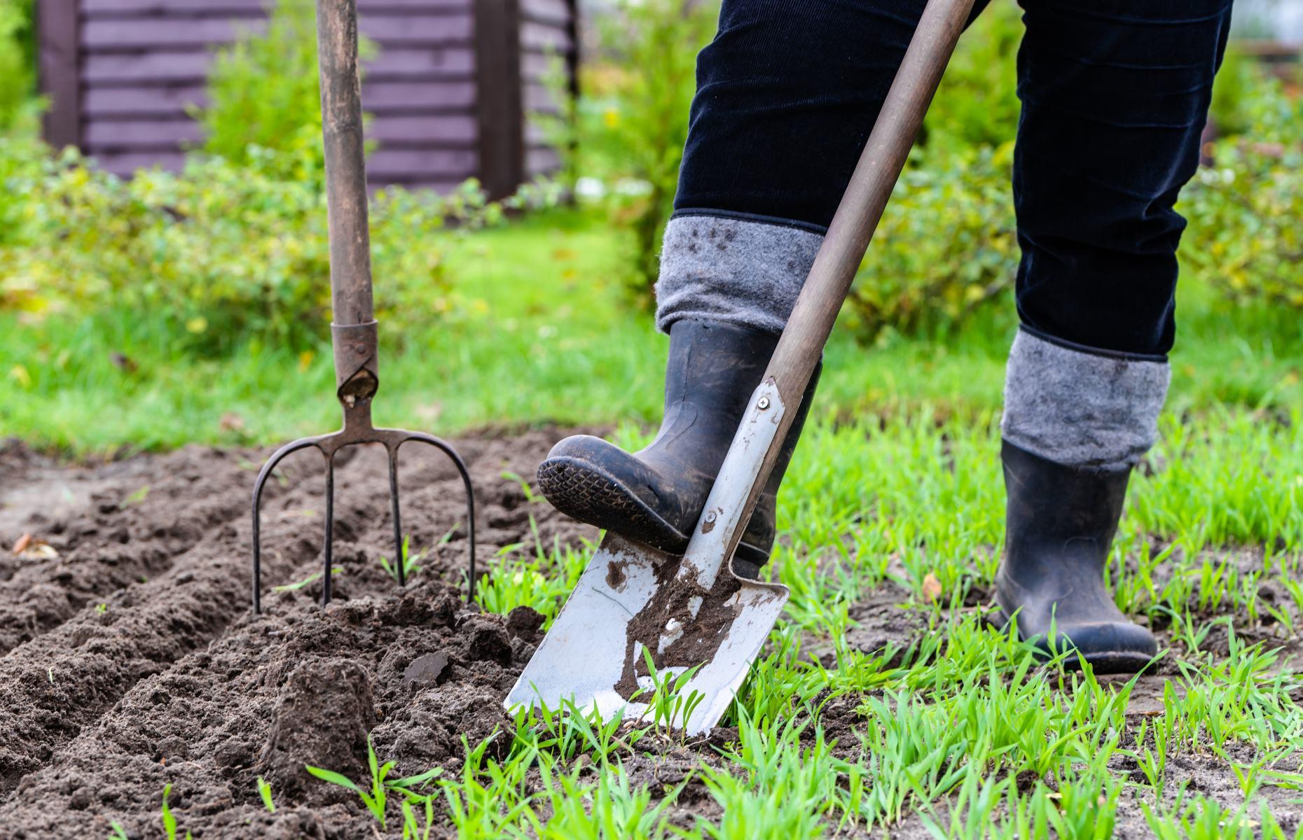<p>Preparation is everything, so start by digging out weeds, stems and roots and remove as many stones on your patch as possible. Then feed your soil with well-rotted compost or manure, which should be raked level. Add <a href="https://www.loveproperty.com/news/96178/how-to-grow-your-own-vegetables-from-food-scraps">organic matter</a> like composted leaves or shredded aged bark to the surface of the soil when you can and at least once a year to build up long-term soil health, and if you need a quick fix, try an organic fertilizer.</p>