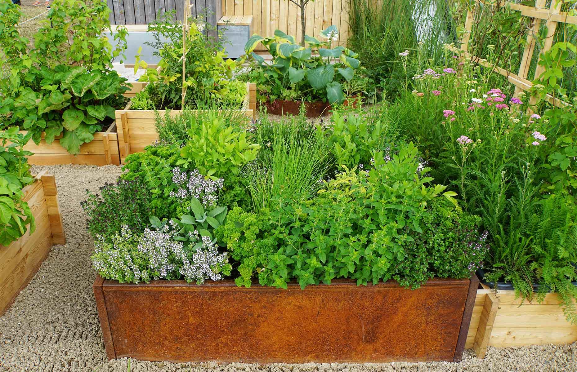 <p>You might think about growing your vegetables in raised beds if you have clay soil which suffers poor drainage. Raised beds allow the soil to drain faster and warm more quickly in the spring, meaning plants will start to grow earlier in the season. They are <a href="https://www.loveproperty.com/news/84550/grow-how-expert-tips-for-amateur-gardeners">great for beginners</a> because you can control the quality of the soil by adding nutrient-rich soil and compost from the outset, ensuring success. They are also attractive and easier to maintain. </p>