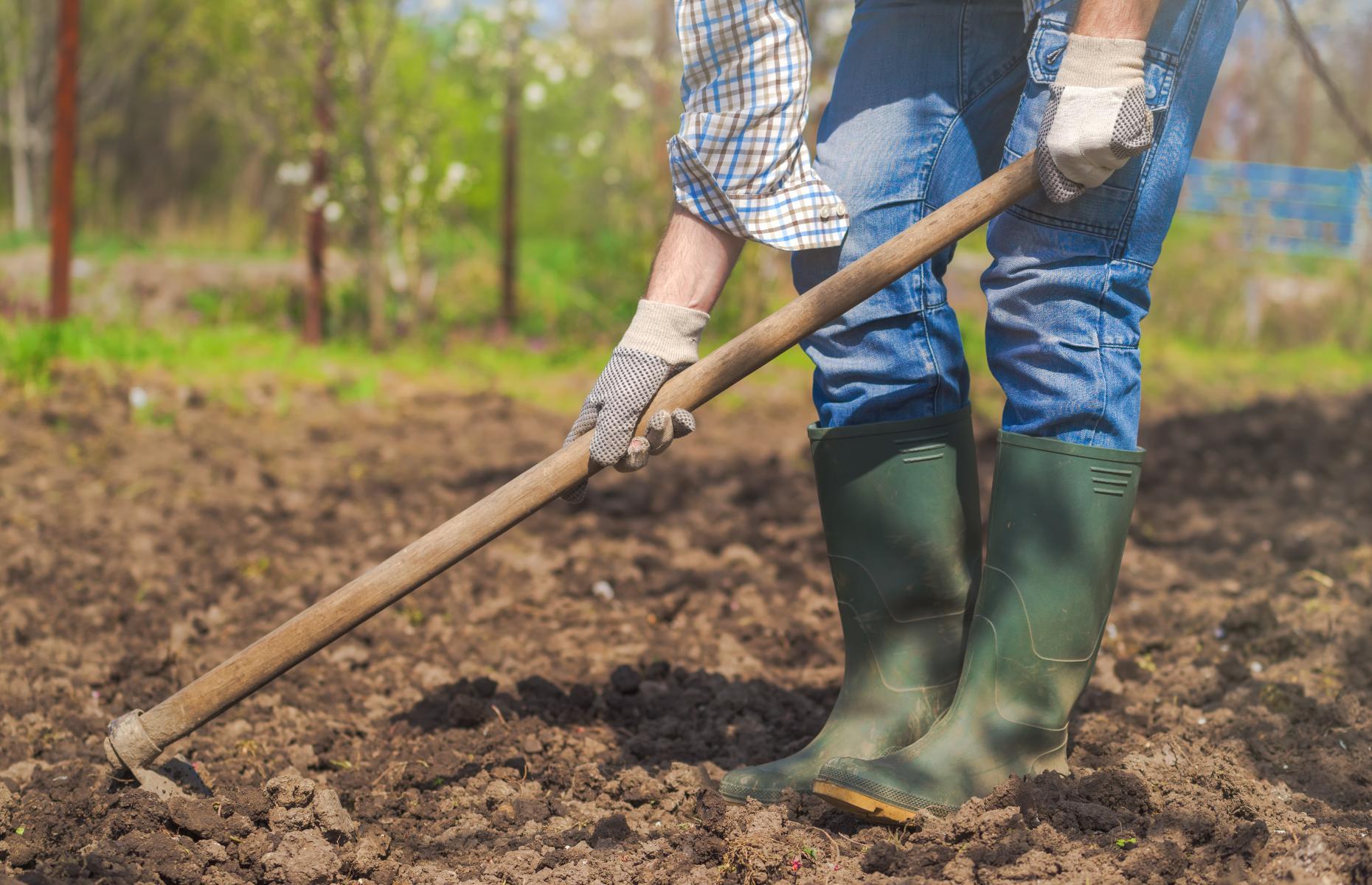 <p><a href="https://www.loveproperty.com/news/72432/15-ways-to-spruce-up-your-garden-for-spring">Remove weeds</a> as soon as you see them so that they don’t have the opportunity to produce seeds and spread. Weed by hand or use a hoe, keeping the blade edge sharp to sever the weeds so that they can be left to wither where they fall. <a href="https://www.rhs.org.uk/soil-composts-mulches/mulch">Mulching with organic matter</a>, leaving it on the surface of the soil, is a good way to stop new weeds from popping up. </p>