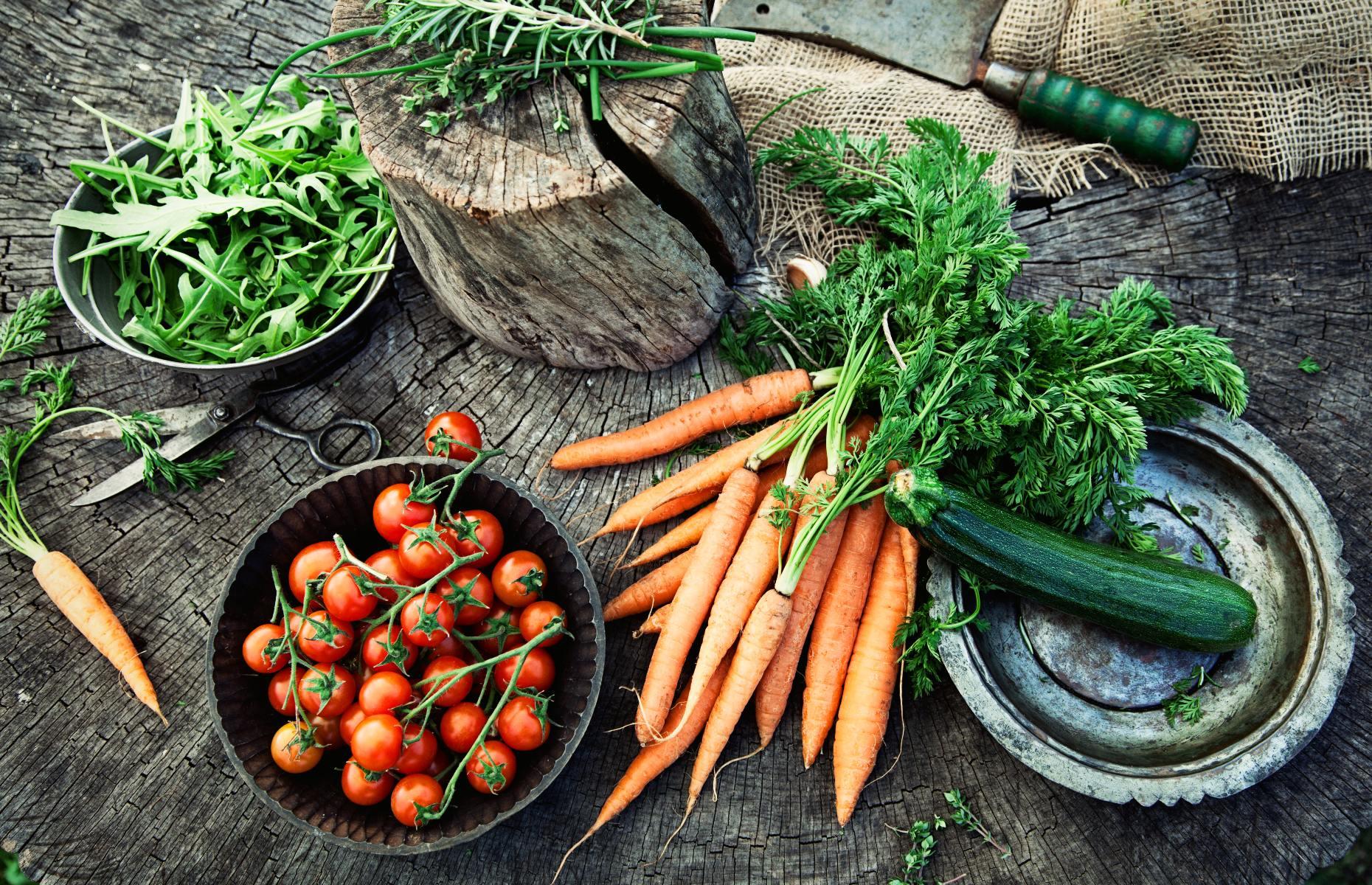 Create your own edible garden with our handy vegetable patch guide