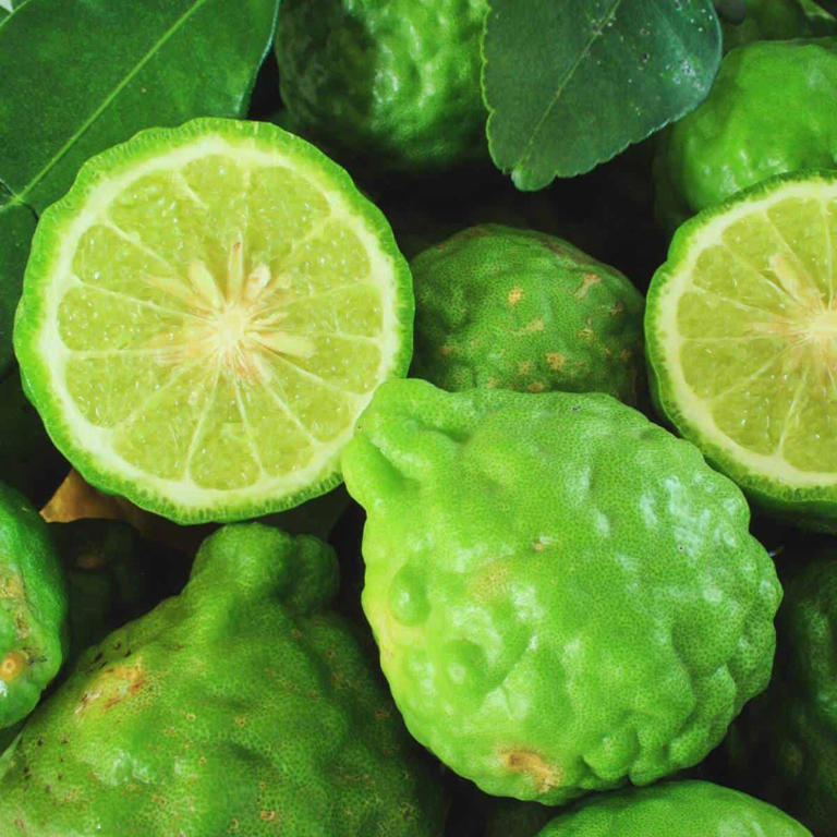 What Does Bergamot Smell Like?