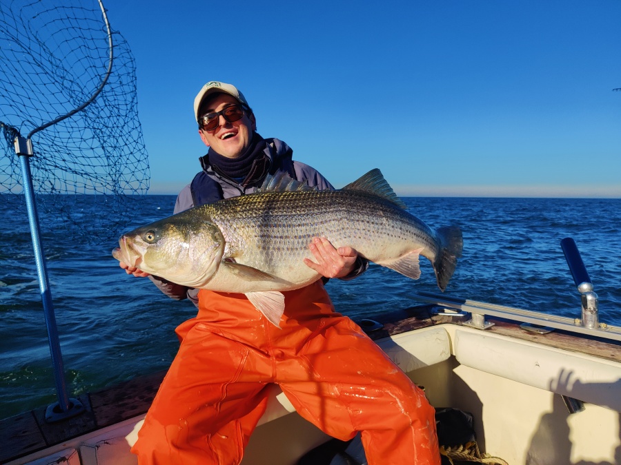 Concern about Atlantic striped bass spawning success in Virginia and
