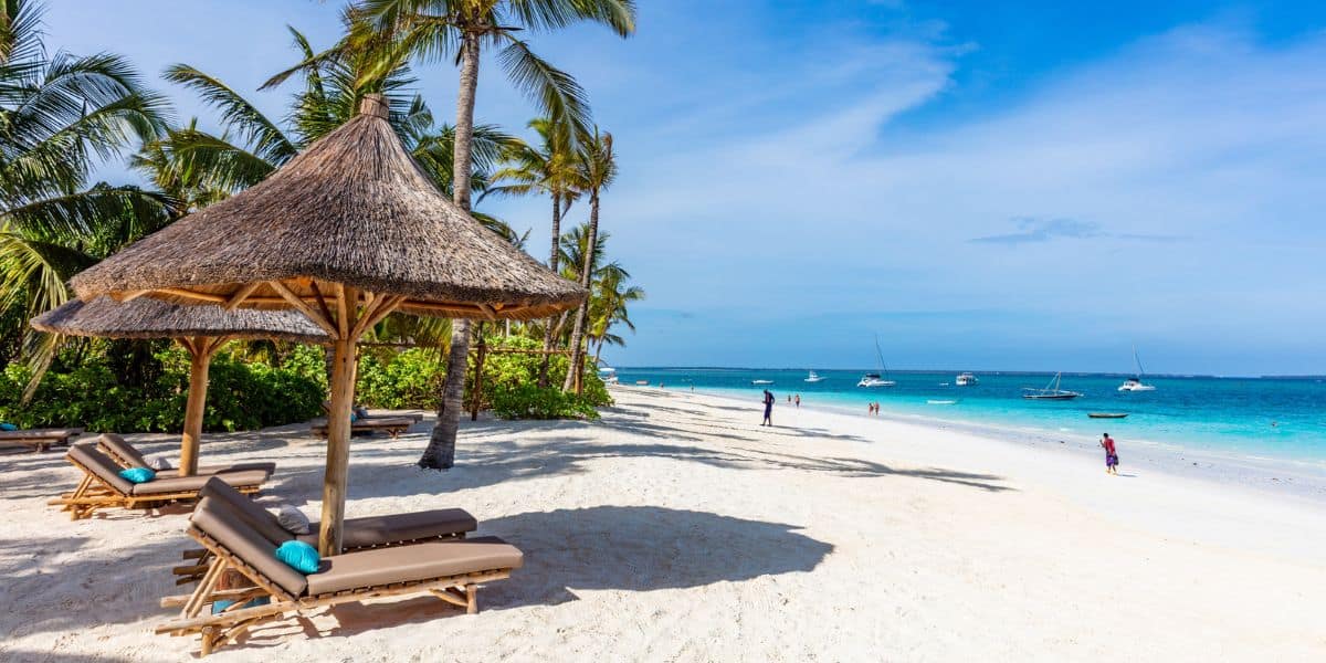 Whether you're looking for a romantic getaway or a family-friendly destination, tropical islands can be an incredibly relaxing and exciting option.
