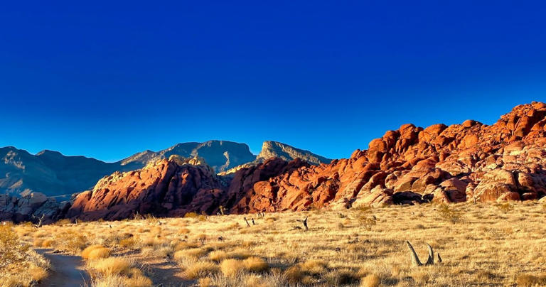 10 Attractions That Should Be On Everyone's Adventurous Nevada Bucket List