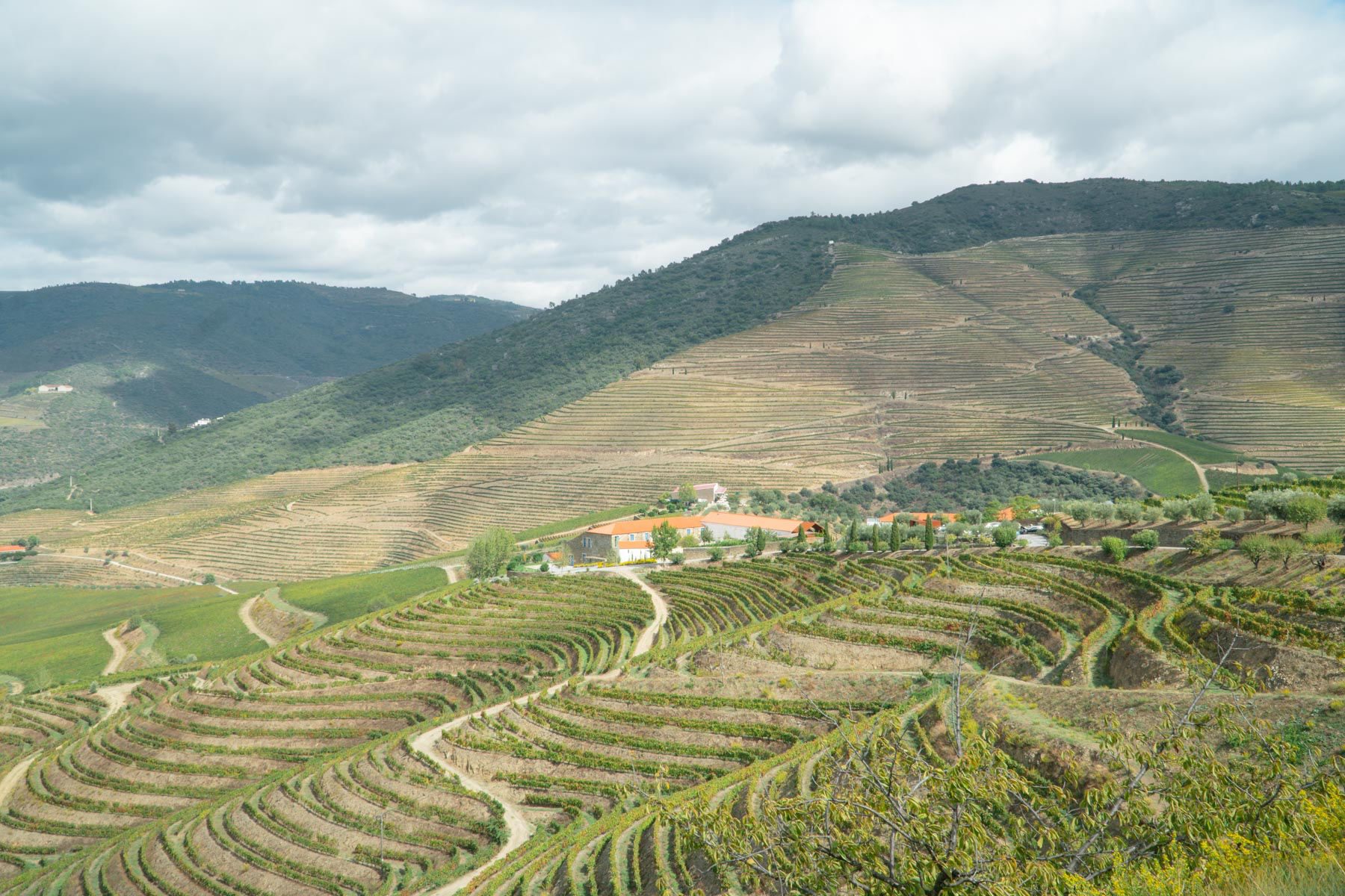 Uncorking Europe's Best Wine Regions: Hidden Gems & Top Producers