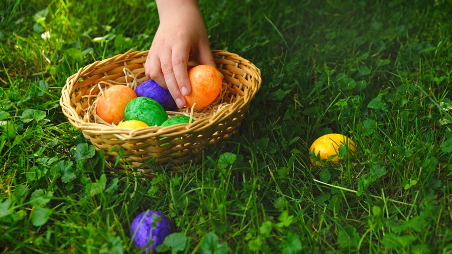 Celebrate Easter on Saturday at events throughout western Massachusetts