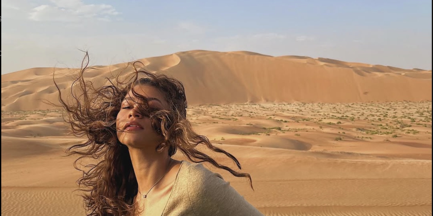 You'll Never Guess Which Animated Movie Zendaya Will Star In