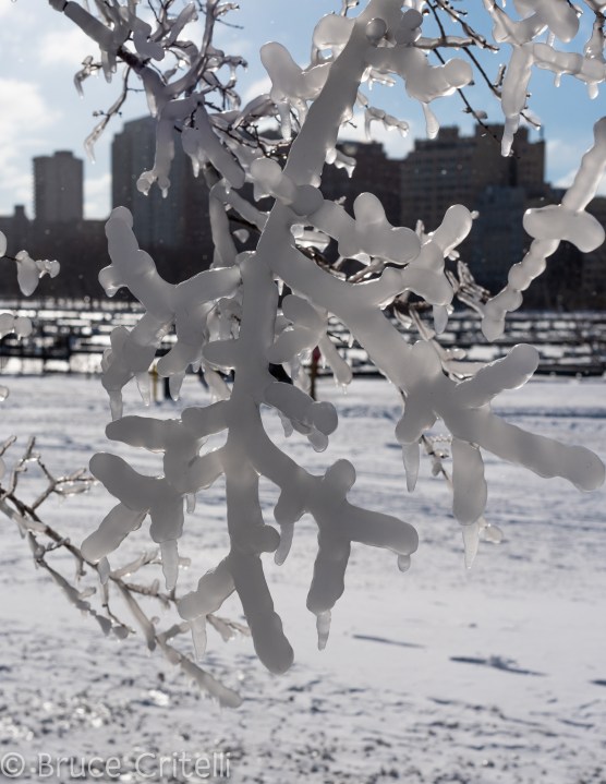 forecast-mostly-cloudy-windy-turning-sharply-colder