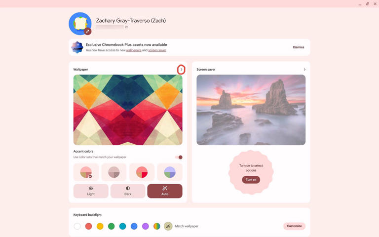 The Wallpaper & Style menu on a Chromebook Plus with the Wallpaper option highlighted with a red circle