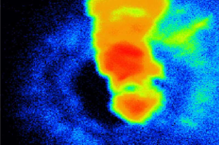 This artificially colored image made using a technique called secondary ion mass spectrometry shows the iron sample following intense heat and pressure. It’s approximately 50 micrometers wide and 100 micrometers long, roughly the width of a human hair. Credit: 2025 Hirose et al. CC-BY-ND