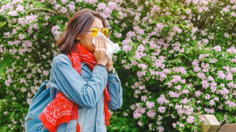 What is causing your spring allergies and what can you do to prevent them?