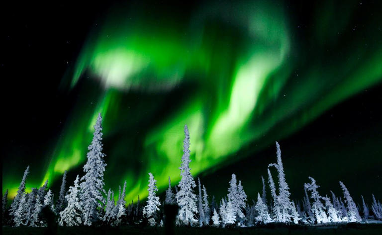Imagen de una aurora boreal se observa en el cielo sobre los árboles a lo largo de la autopista Inuvik-Tuktoyaktuk, al norte de Inuvik, Territorios del Noroeste de Canadá, el 28 de febrero de 2025. Foto: AFP