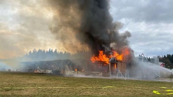 Stall stand in Flammen – 1.300 Puten gerettet
