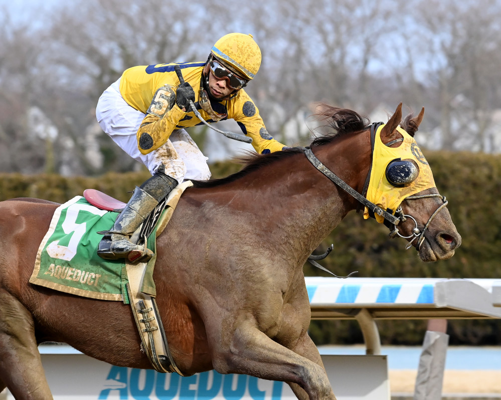 New York-Bred Bank Frenzy Rolls Home In Stymie For Third Straight Win