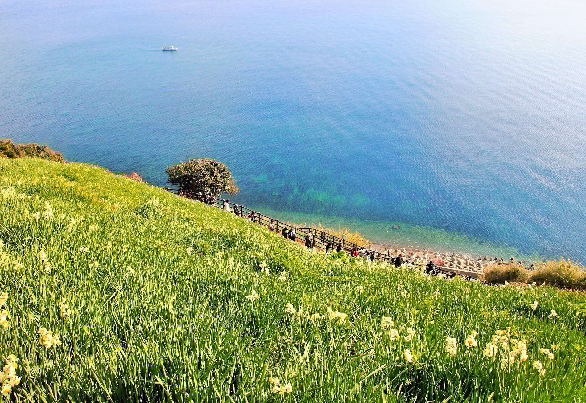 AA1A4LPo Discover a Natural and Culinary Paradise on This Hidden Japanese Island Off the Coast of Osaka