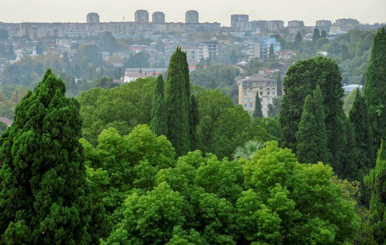 Breakaway Abkhazia's acting leader wins presidential election, state ...