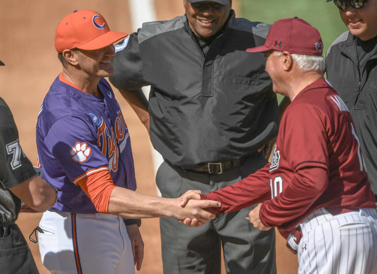 South Carolina baseball gives Clemson first loss of season