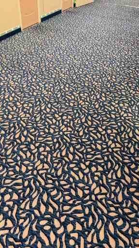 Take A Tour Of This Odd Cruise Ship Cabin, Would You Book It?