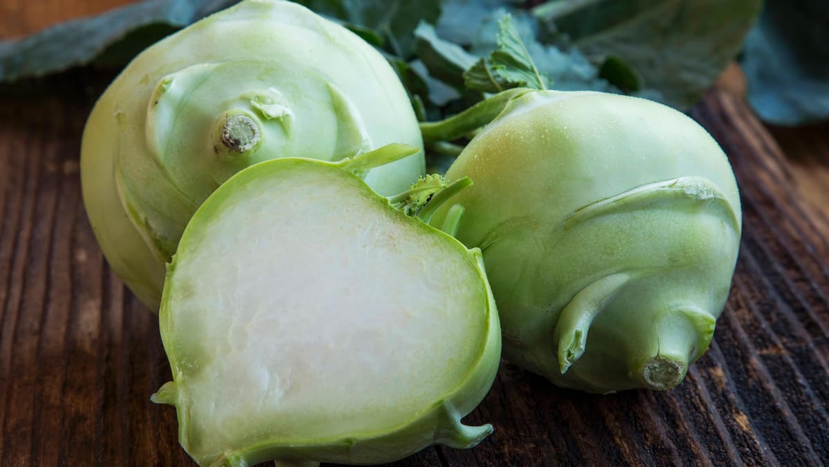 Kohlrabi pikieren: Zeitpunkt und Vorgehensweise zum Gemüseanbau
