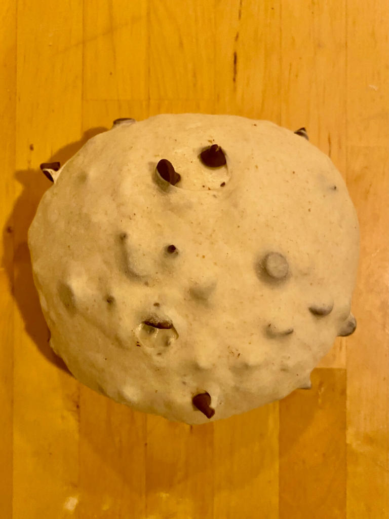 Chocolate Chip Sourdough Bread
