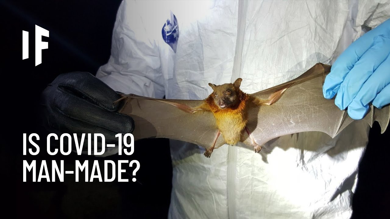 How COVID-19 being made in a lab would change history