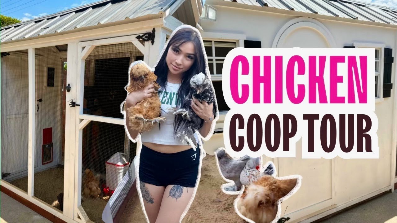 Take a Peek Inside This Charming Chicken Coop