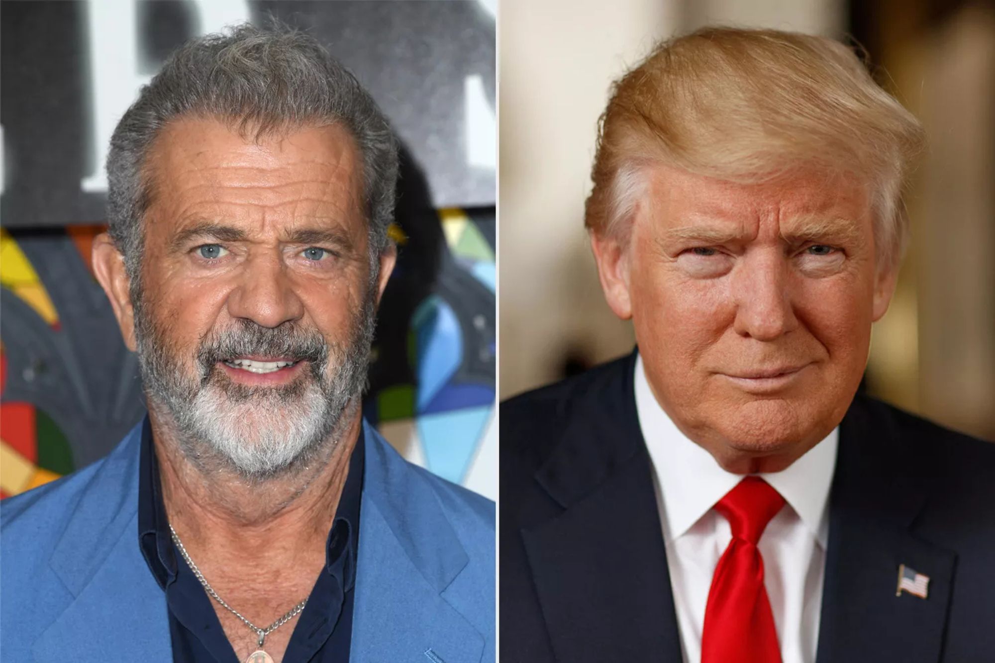 DOJ Attorney Fired After Denying Trump Friend Mel Gibson Gun Rights