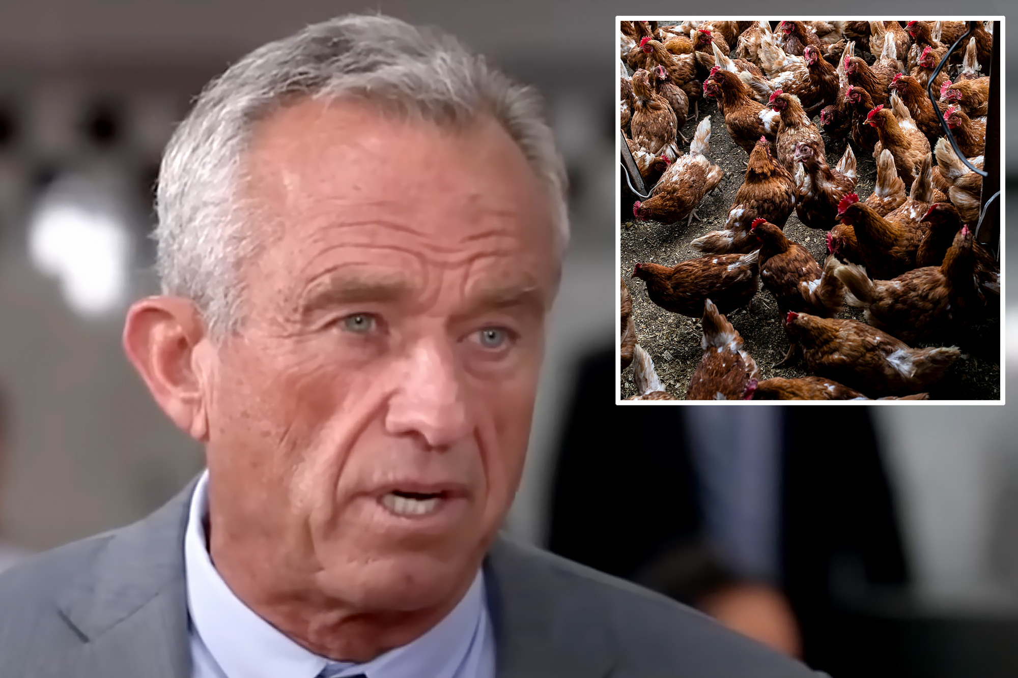 RFK Jr. warns against vaccinating birds amid avian flu ‘You turn those