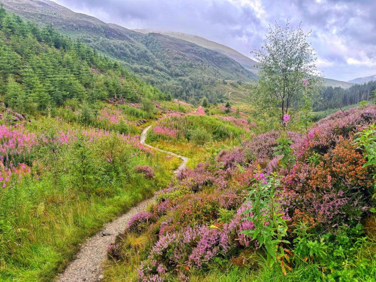 I’m an adventurer in my 60s – solo hiking the West Highland Way was ...