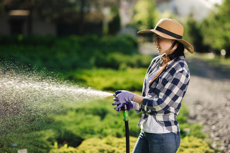 Watering tips: How to transition from winter moisture to spring irrigation