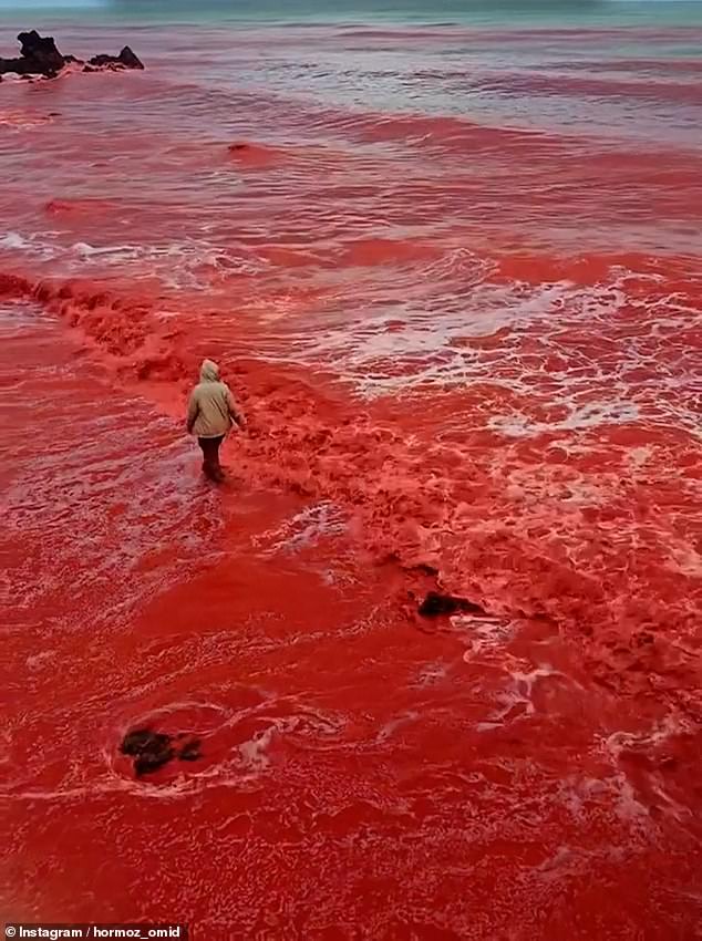 Red Rain Mystery: Unusual Phenomenon Turns Landscapes Crimson 4 AA1AKMik