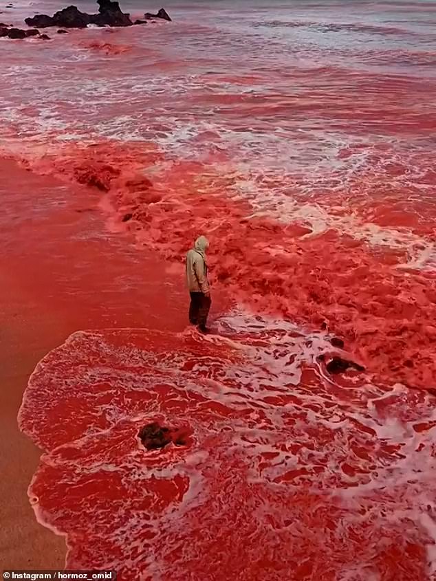Red Rain Mystery: Unusual Phenomenon Turns Landscapes Crimson 1 AA1AKOzr