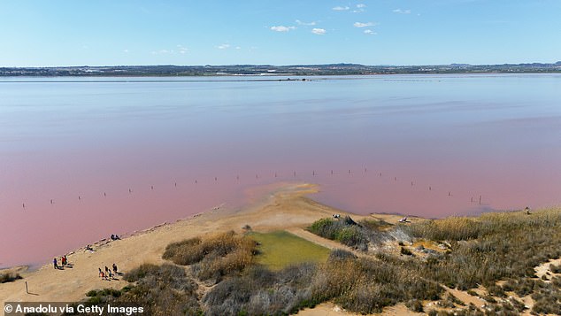 Red Rain Mystery: Unusual Phenomenon Turns Landscapes Crimson 7 AA1AKY5Z
