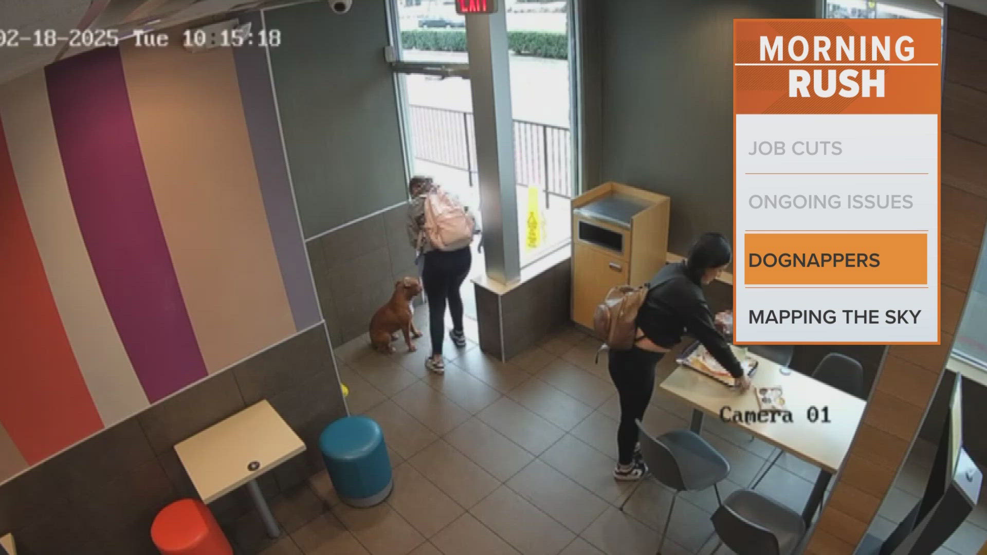 Two women accused of stealing dog arrested(02)