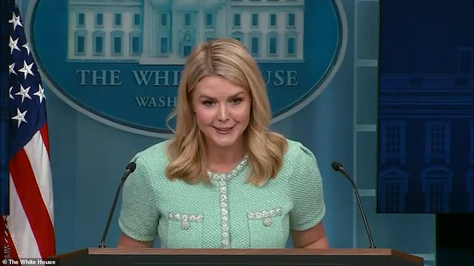 MSNBC's Wallace calls Karoline Leavitt 'tragically uninformed'