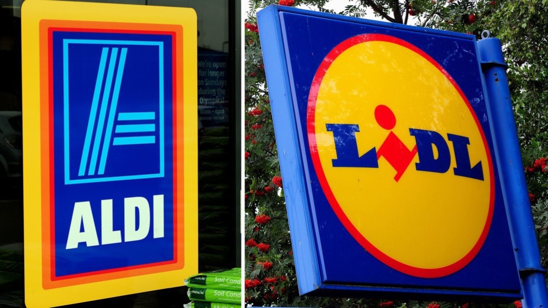 Preise bei Lidl und Aldi im Sinkflug: Hier können Kunden jetzt viel ...
