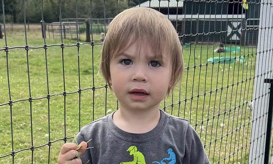 Heartbreaking update in search for Oregon boy who vanished from yard(01)