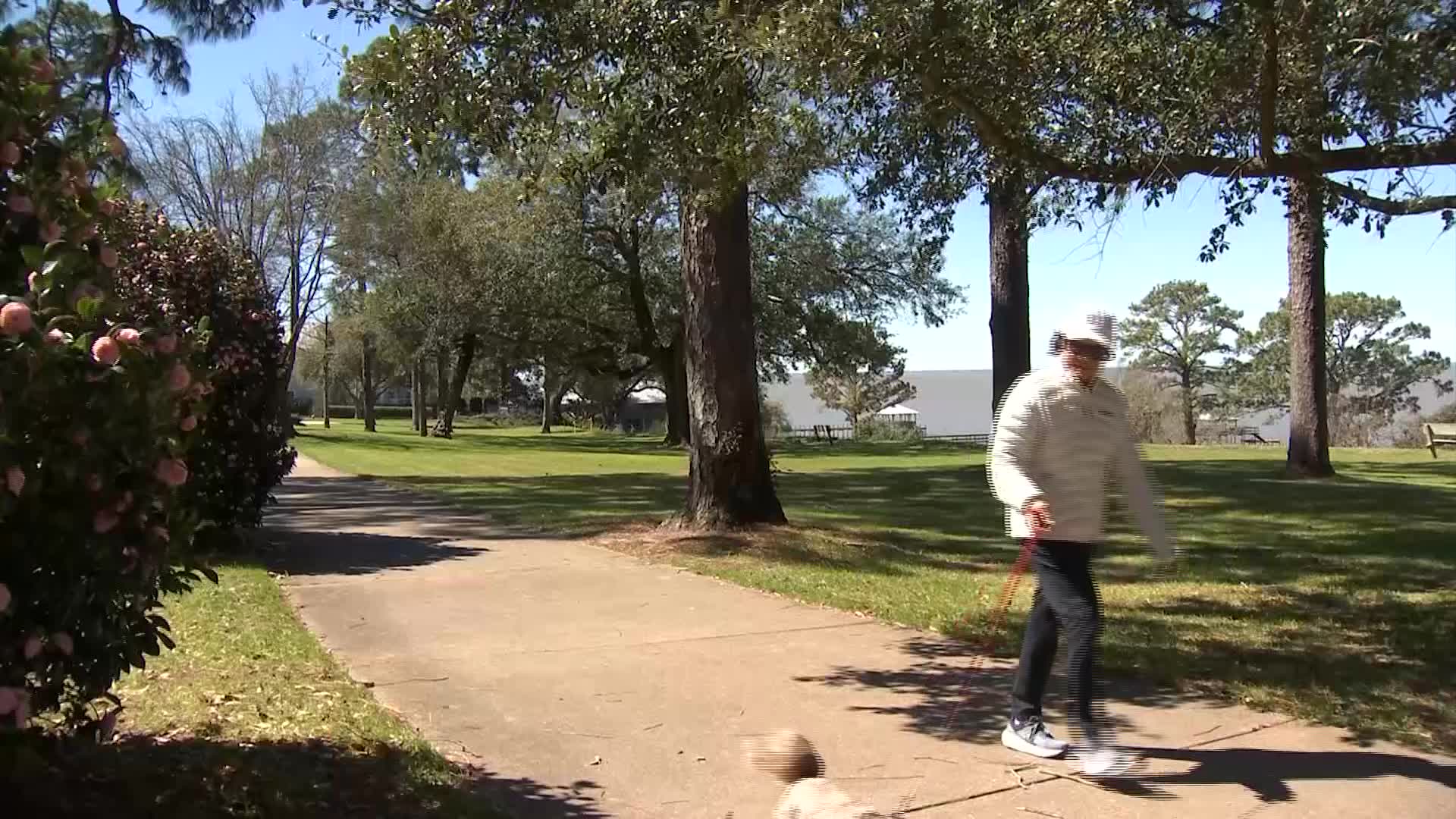 pet-friendly-fairhope-a-dog-lovers-paradise