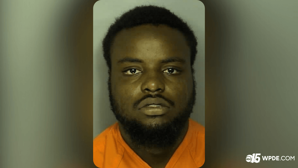 Longs man pleads guilty to voluntary manslaughter, sentenced to 25