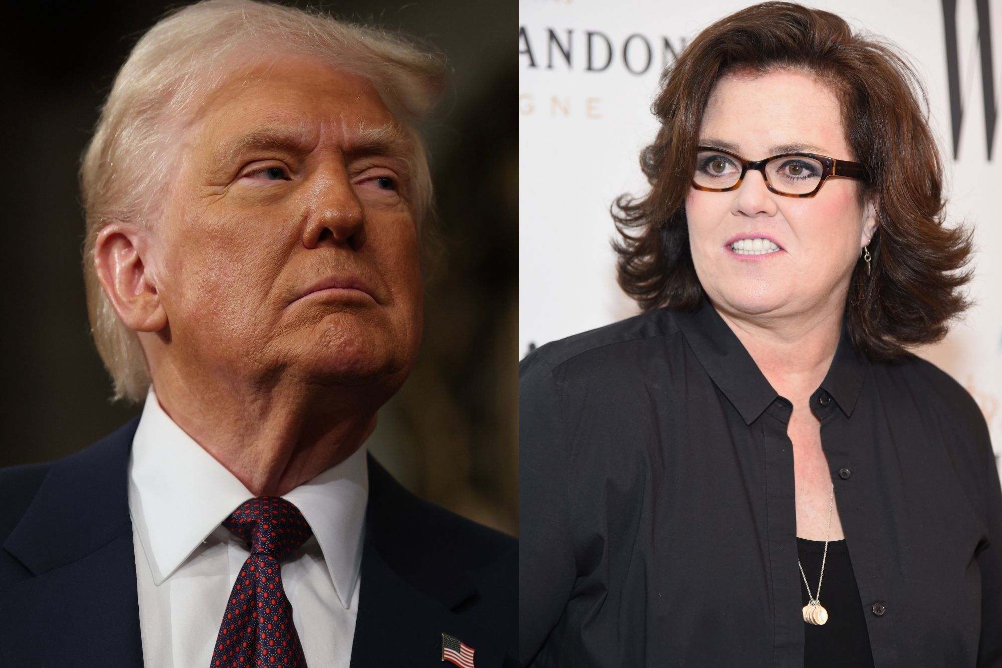 Donald Trump Takes Shot at Rosie O'Donnell During Meeting With Irish PM