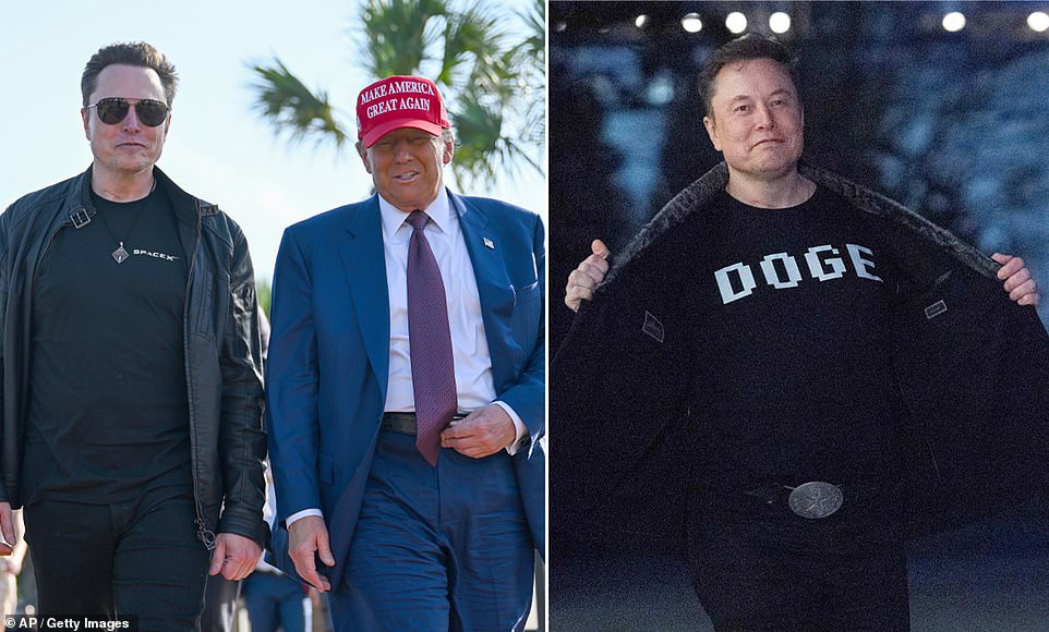 Poll: Musk's DOGE approval rating revealed
