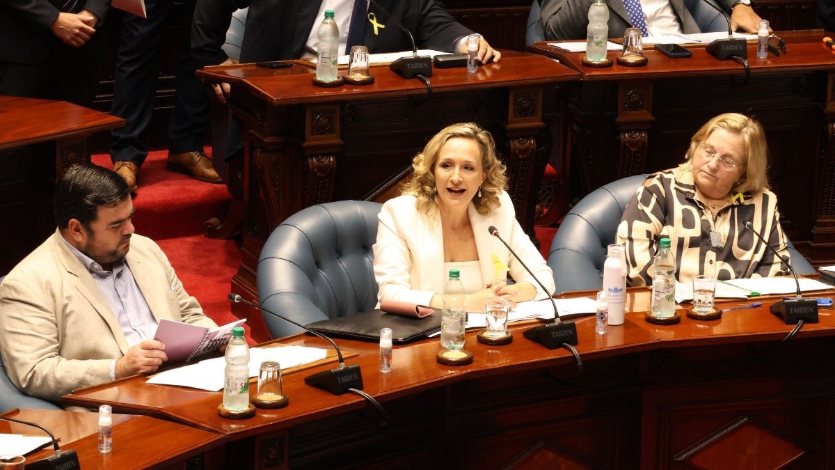 Laura Raffo llega al Senado con una propuesta que podría impactar en tu ...