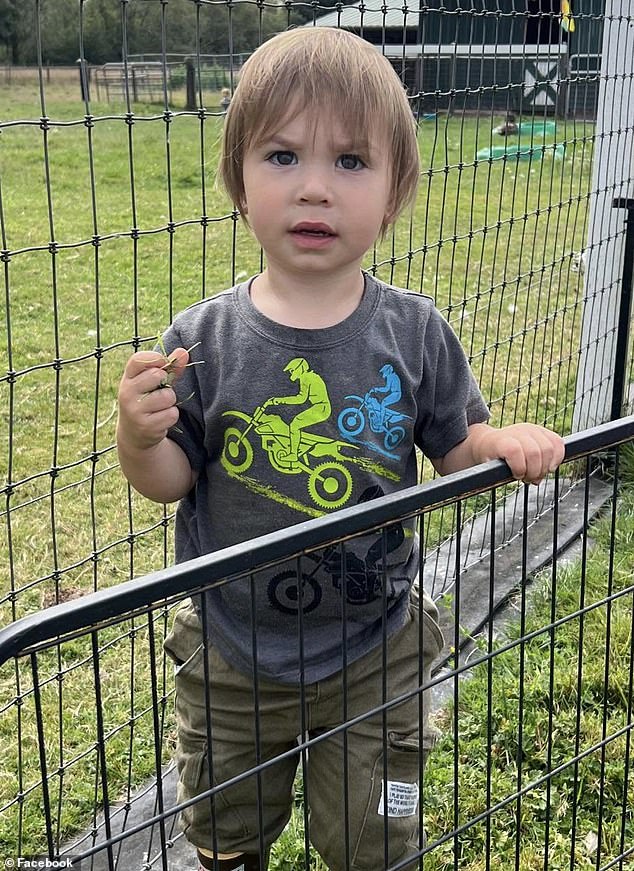 Heartbreaking update in search for Oregon boy who vanished from yard