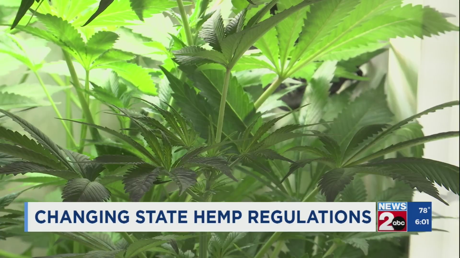 Proposed change to TN hemp regulations