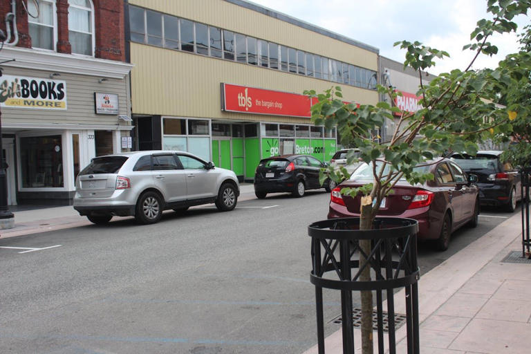 Several newly planted trees on Sydney's Charlotte Street damaged ...