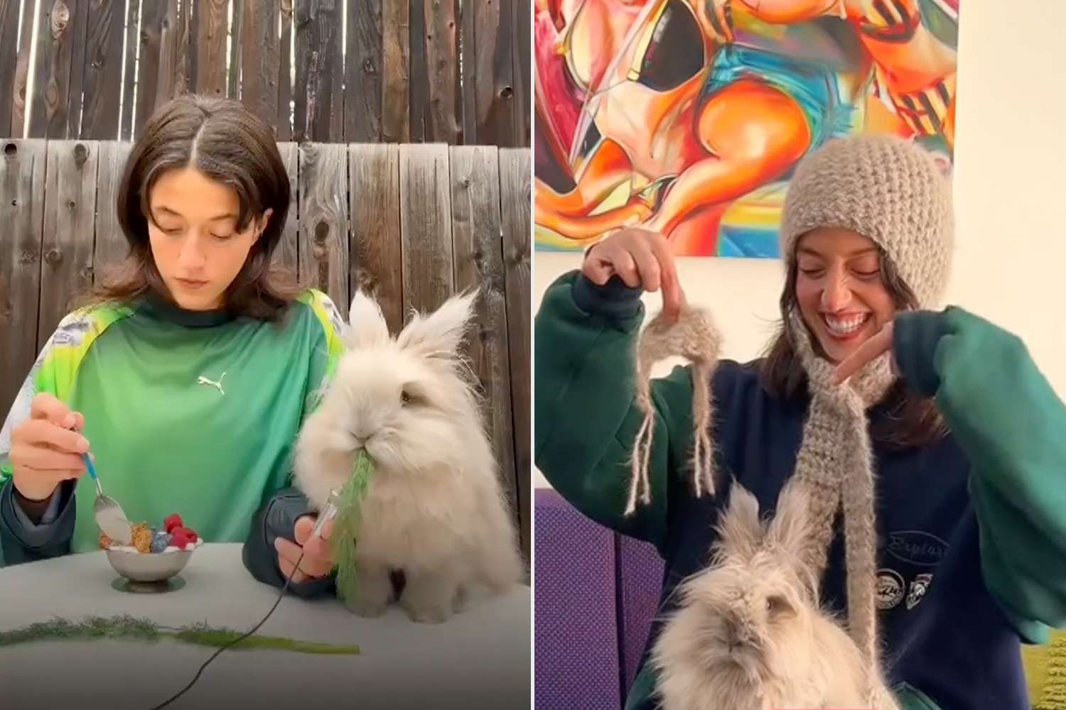 Woman Collects Her Pet Bunny's Abundant Fluffy Fur for a Year to Make a(01)