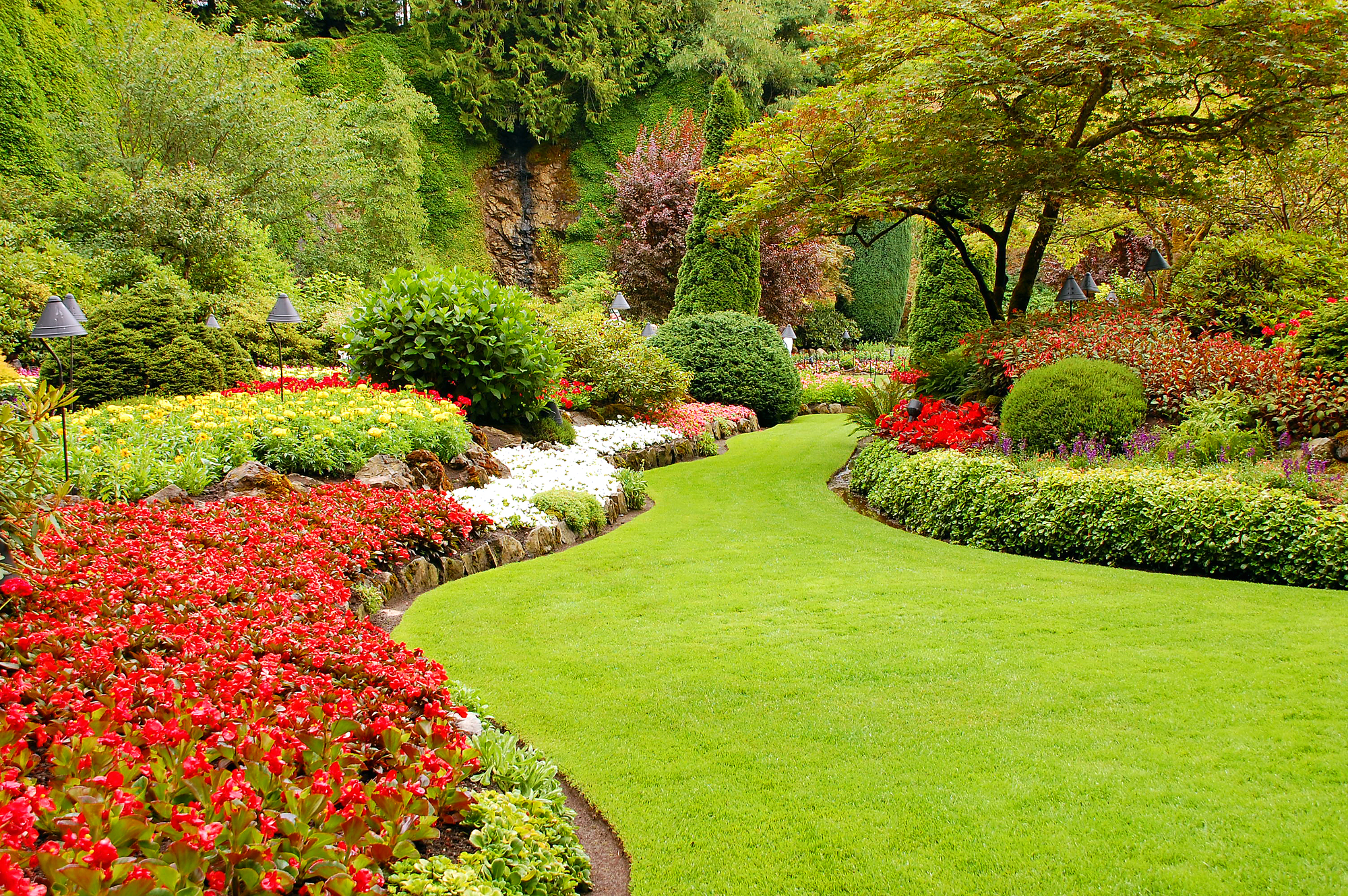 Spring lawn care checklist: Everything you need to do this season for a ...