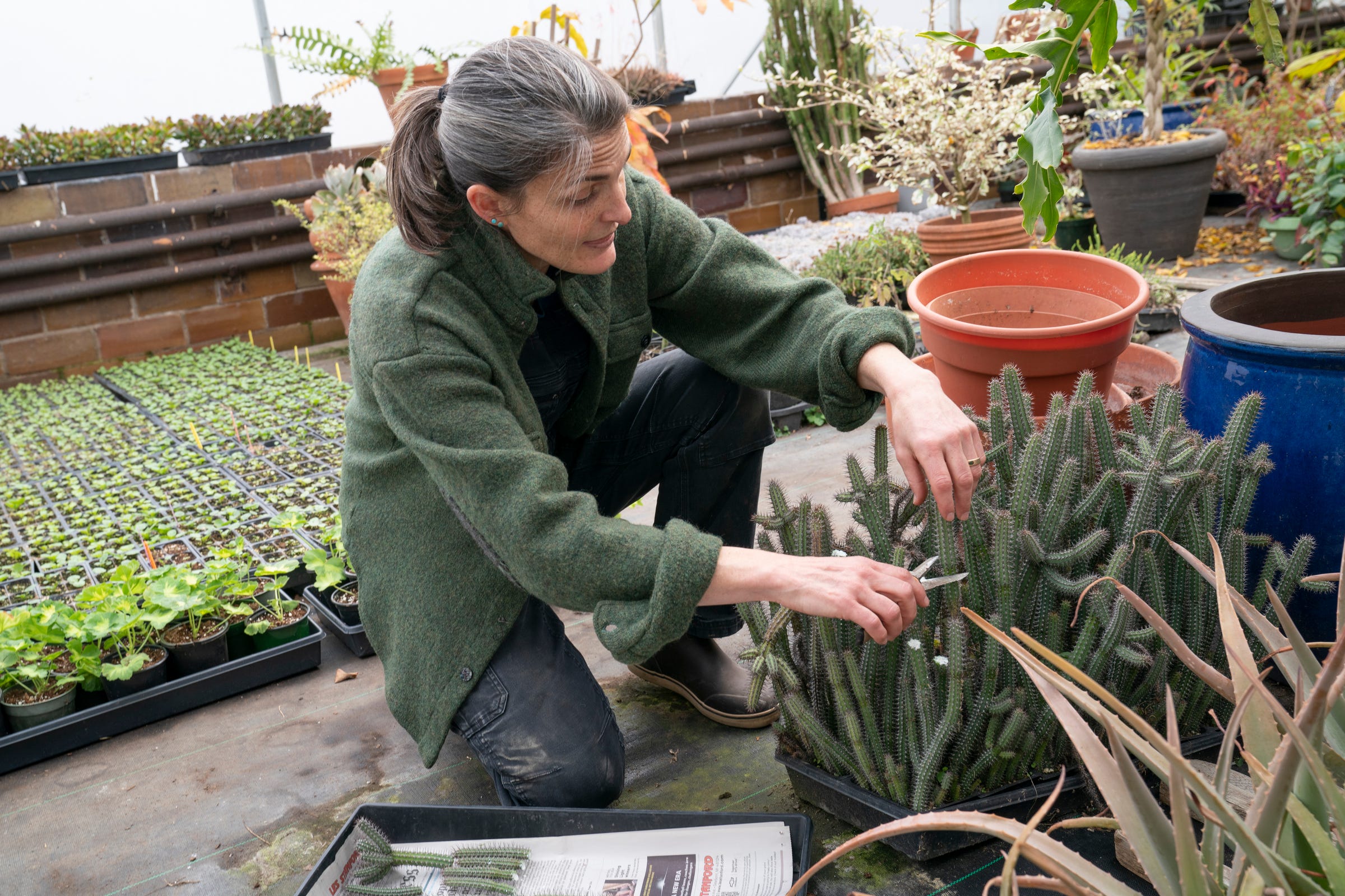 Metro Detroit greenhouse looks for new owner to continue its 97-year legacy