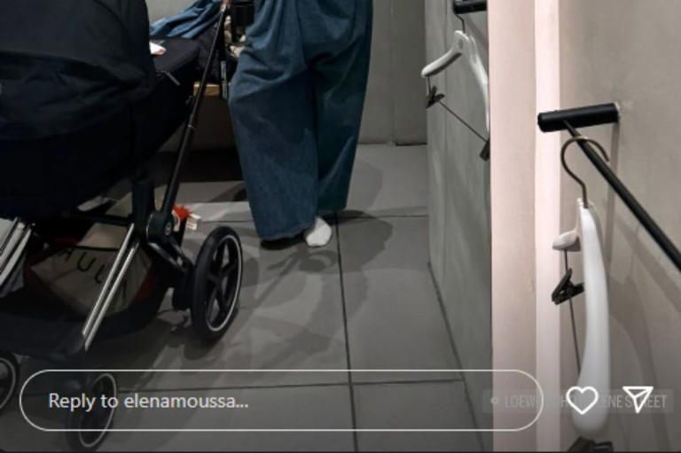 Fox News' Greg Gutfeld's wife Elena Moussa gives rare glam glimpse into